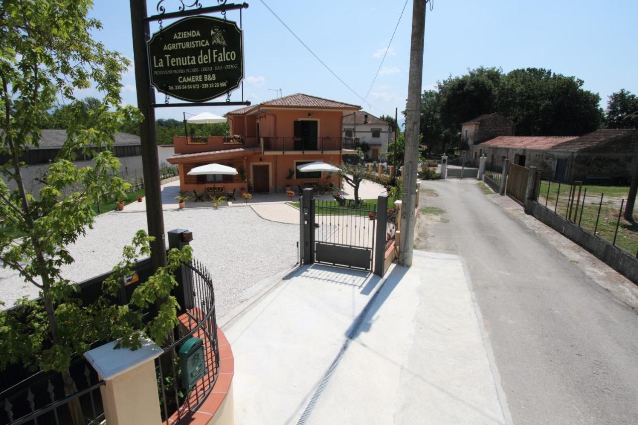 Azienda Agrituristica La Tenuta Del Falco Piedimonte San Germano المظهر الخارجي الصورة