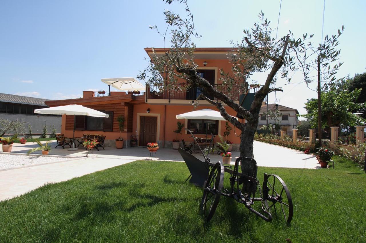 Azienda Agrituristica La Tenuta Del Falco Piedimonte San Germano المظهر الخارجي الصورة