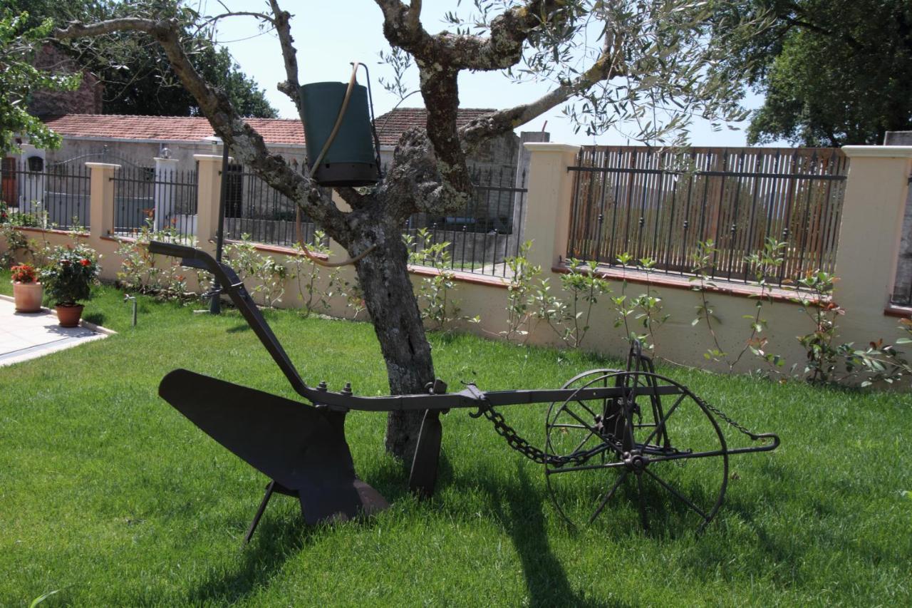Azienda Agrituristica La Tenuta Del Falco Piedimonte San Germano المظهر الخارجي الصورة