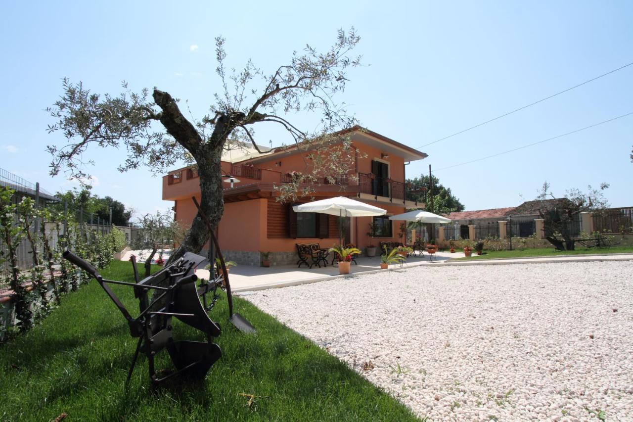 Azienda Agrituristica La Tenuta Del Falco Piedimonte San Germano المظهر الخارجي الصورة